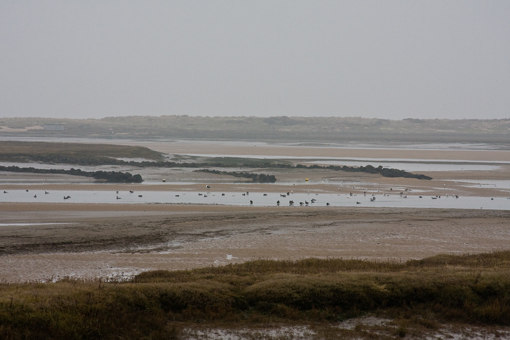 Nouvel-an avec Becky - Norfolk Coast - 01 Janvier 2009