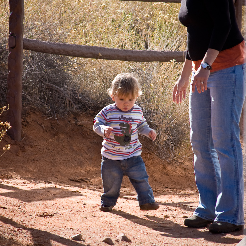 03 Novembre 2008 - Arches National Park Utah