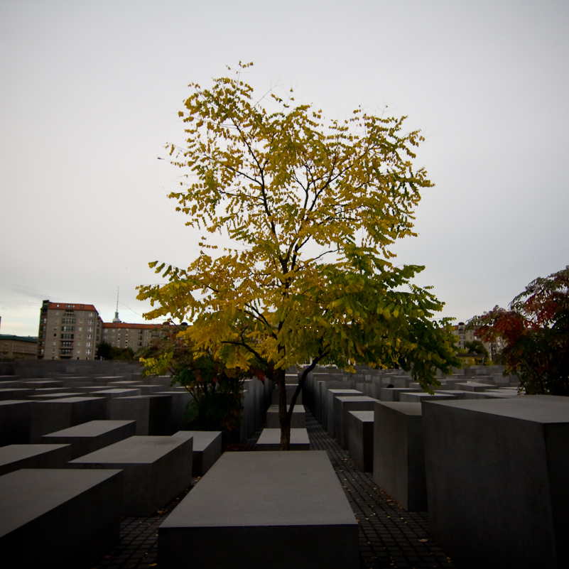 Berlin - 05 October 2009