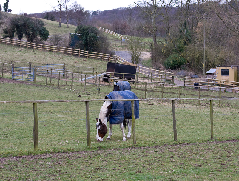 Hambleden - 8 mars 2009