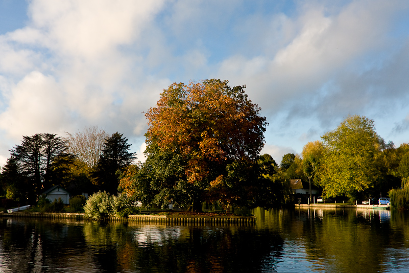 Henley-on-Thames - 11 October 2009