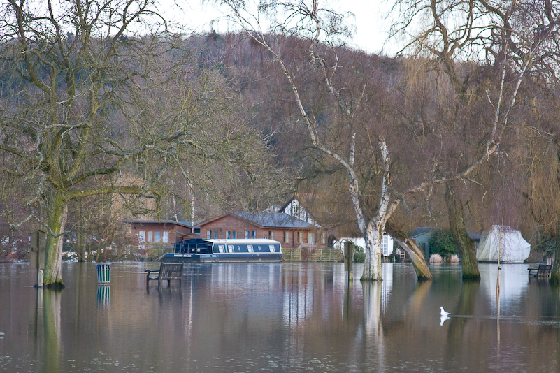 Henley-on-Thames - 13 Février 2009