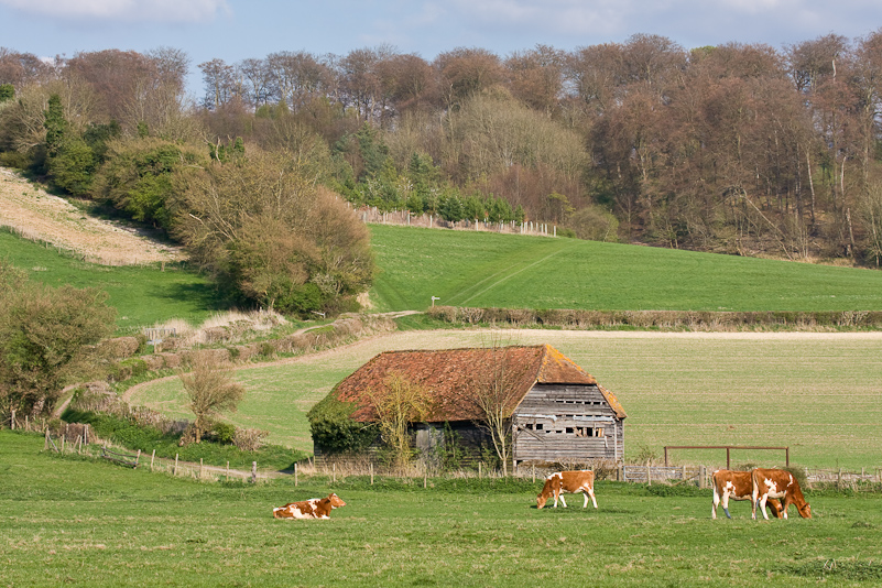 Hambleden - 13 Avril 2009