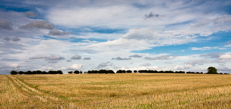 Norfolk Coast - 15 August 2009