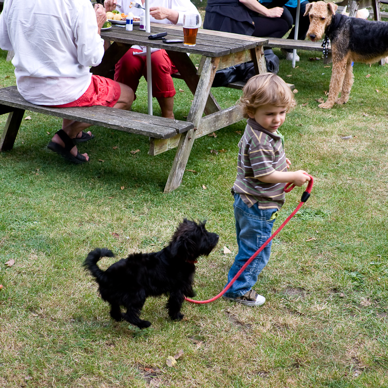 The Flower Pot - Henley - 20 September 2009