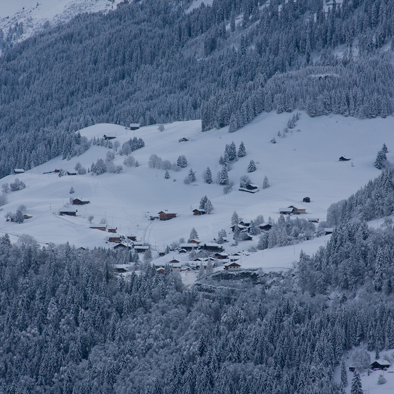 Ski à Leysin - 21 au 25 Janvier 2009