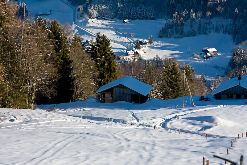 Ski à Leysin - 21 au 25 Janvier 2009