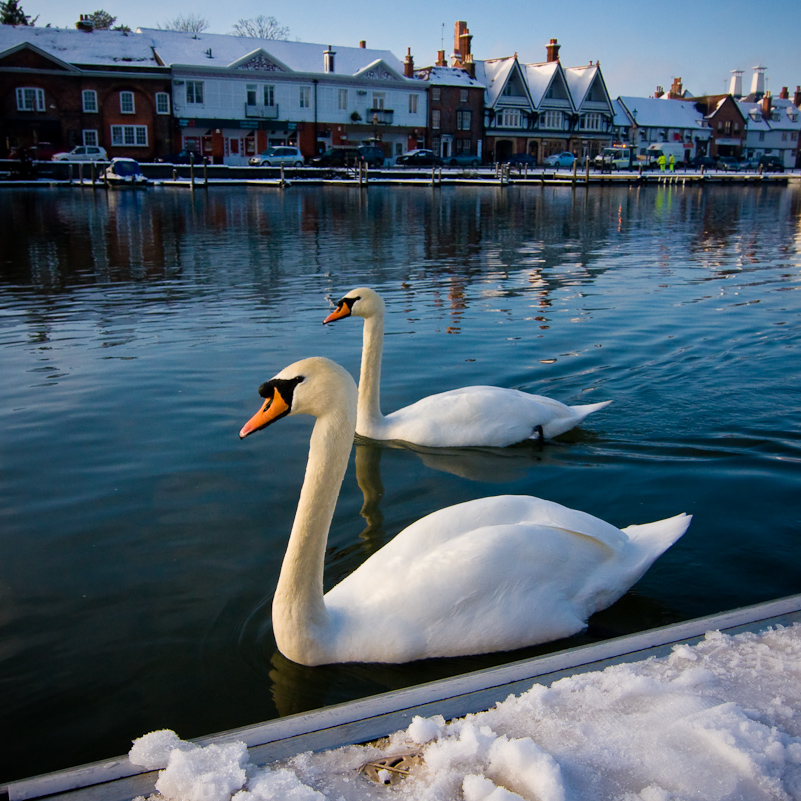 Henley-on-Thames - 22 December 2009