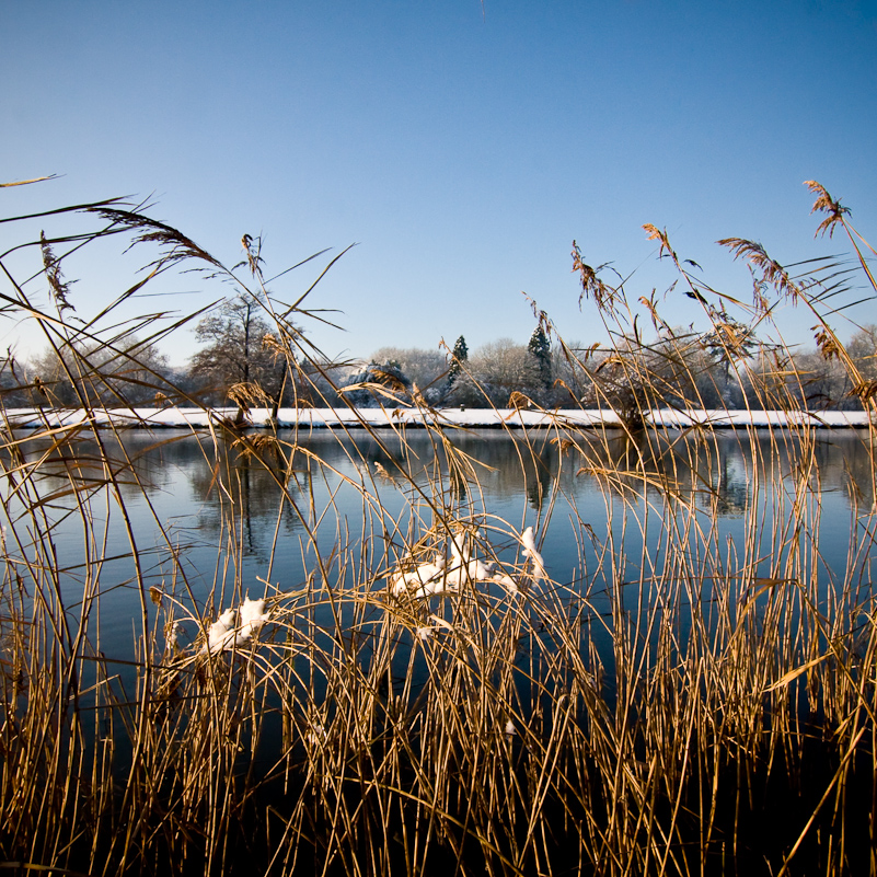 Henley-on-Thames - 22 December 2009