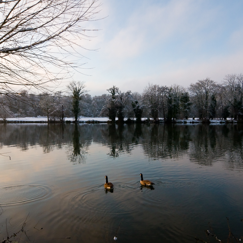 Henley-on-Thames - 22 December 2009