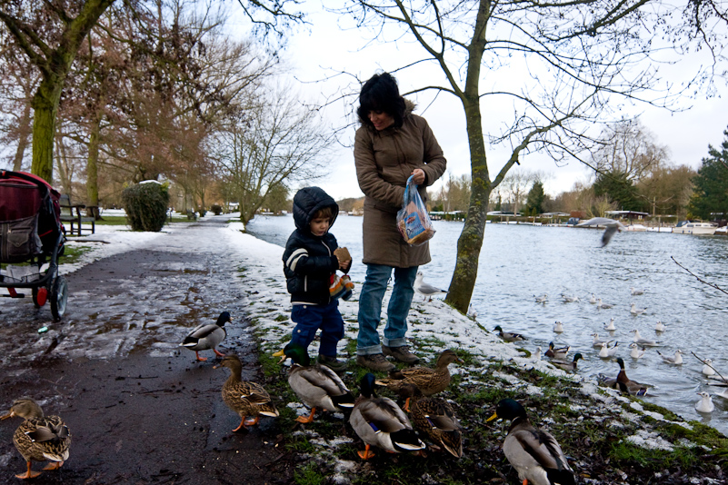 Henley-on-Thames - 26 December 2009