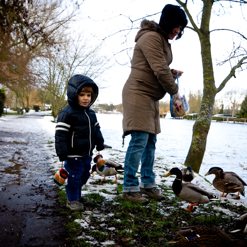 Henley-on-Thames - 26 December 2009