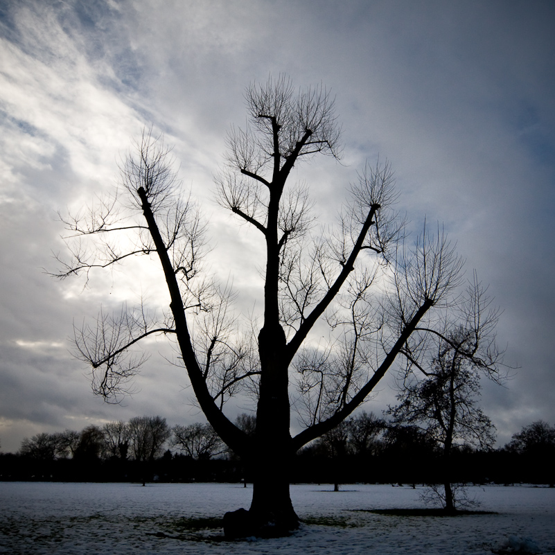 Henley-on-Thames - 26 December 2009