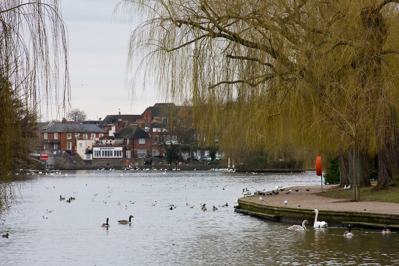 Windsor - 28 February 2009