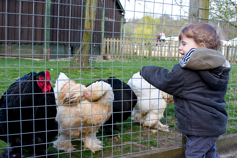 Beale Farm Park - 29 Mars 2009