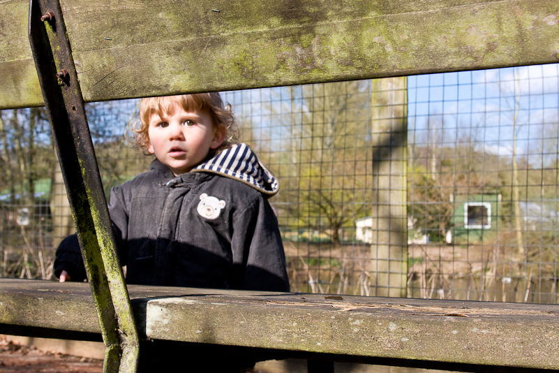 Beale Farm Park - 29 Mars 2009