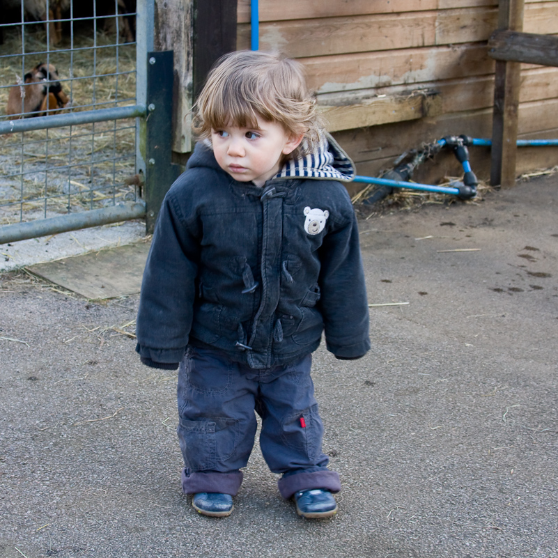 Beale Farm Park - 29 Mars 2009