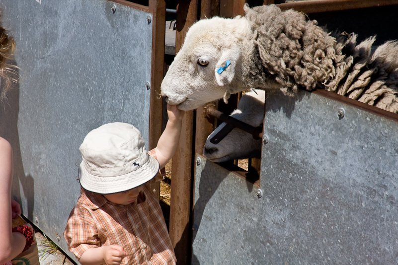 Odds Farm - 31 Mai 2009