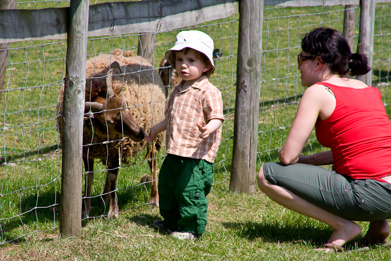 Odds Farm - 31 Mai 2009