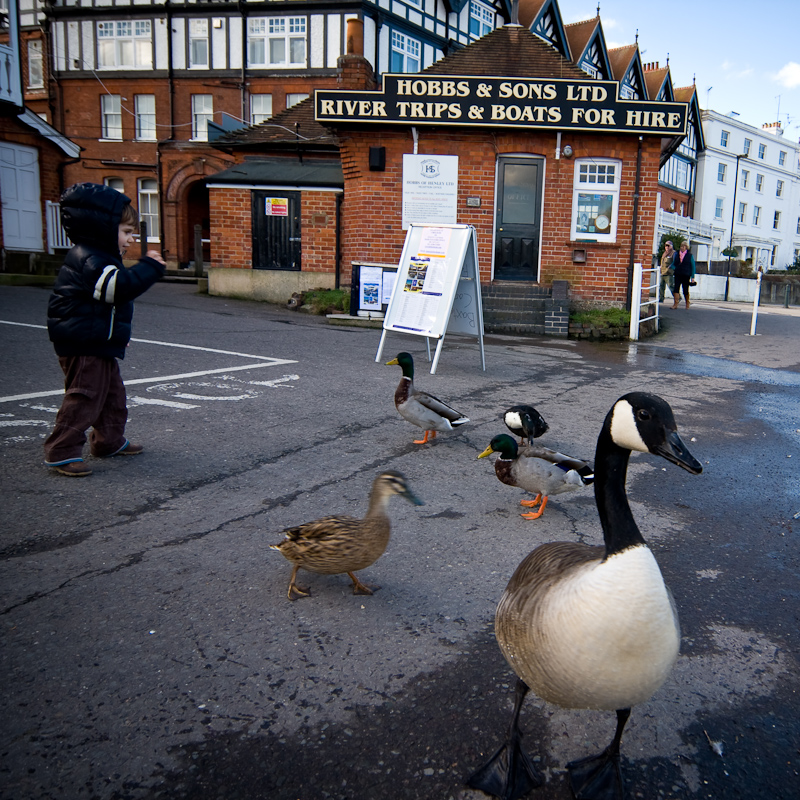 Henley-on-Thames - 1 March 2010