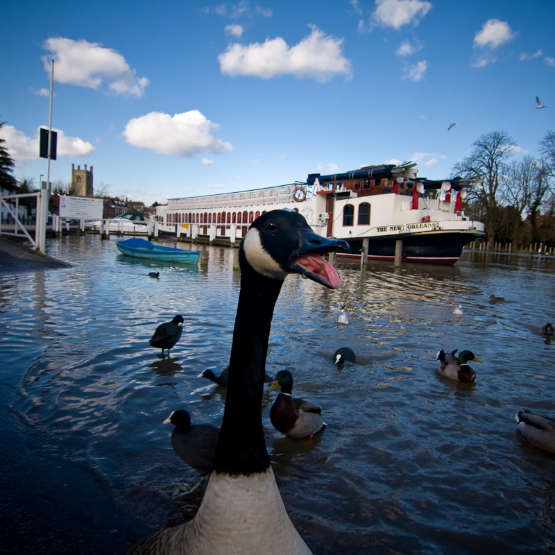 Henley-on-Thames - 1 March 2010