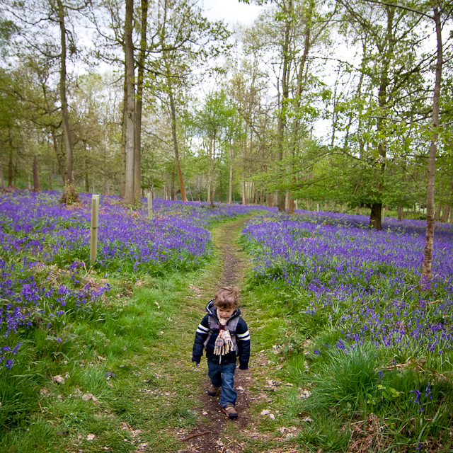 Greys Court - 03 May 2010