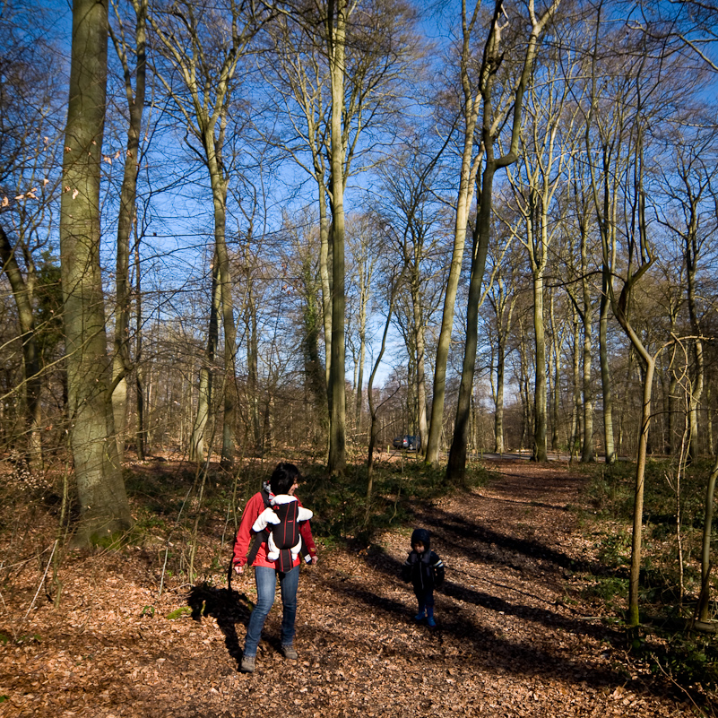 Harpsden Wood - 7 March 2010