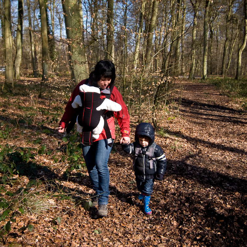 Harpsden Wood - 7 March 2010