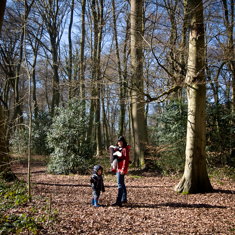 Harpsden Wood - 7 March 2010