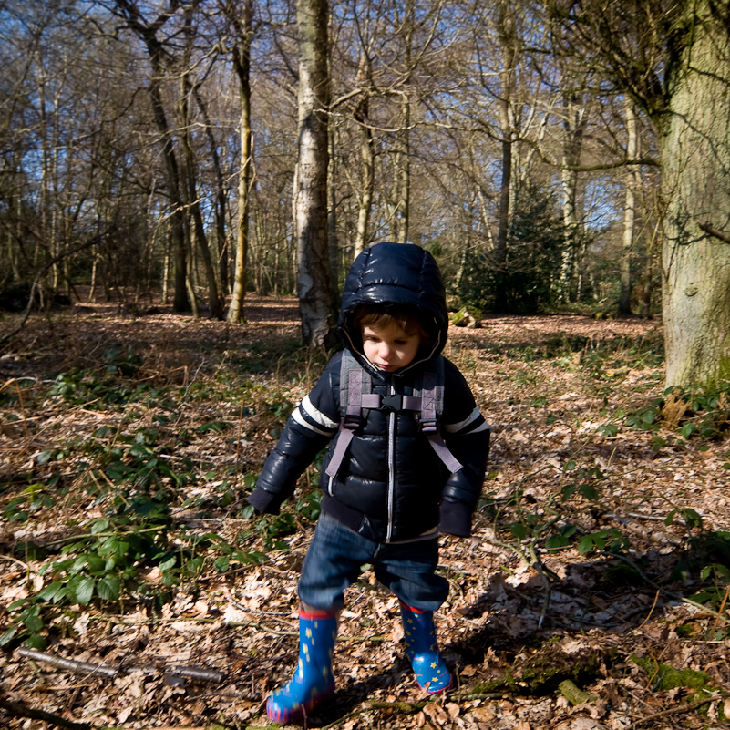 Harpsden Wood - 7 March 2010