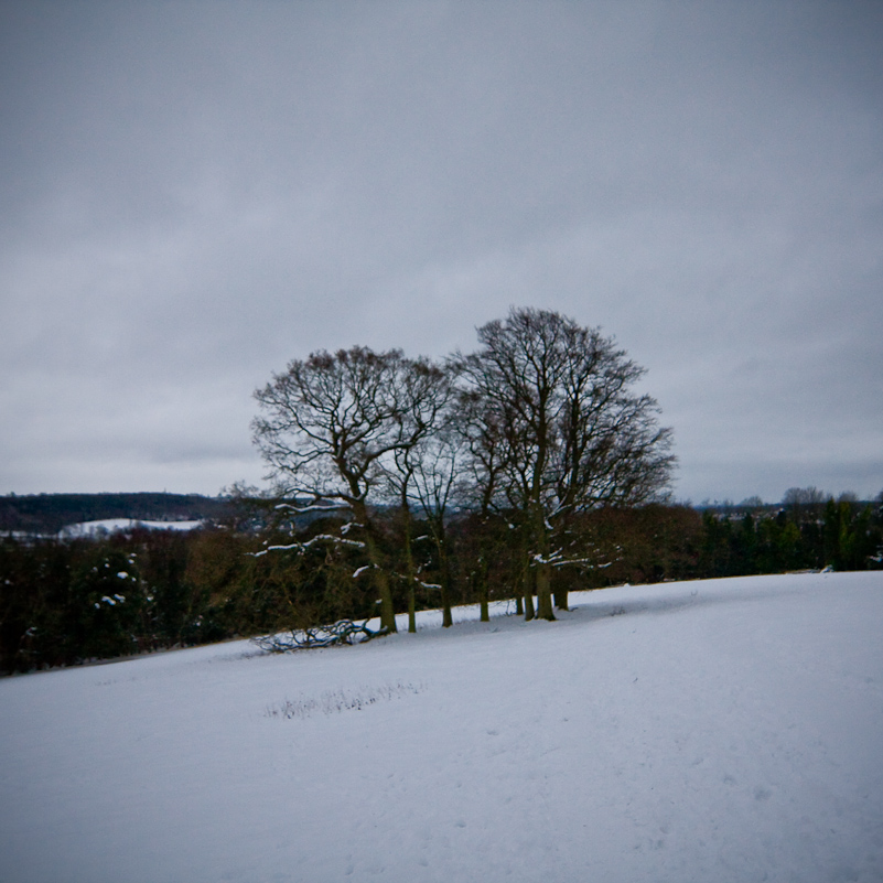 Henley-on-Thames - 10 January 2010