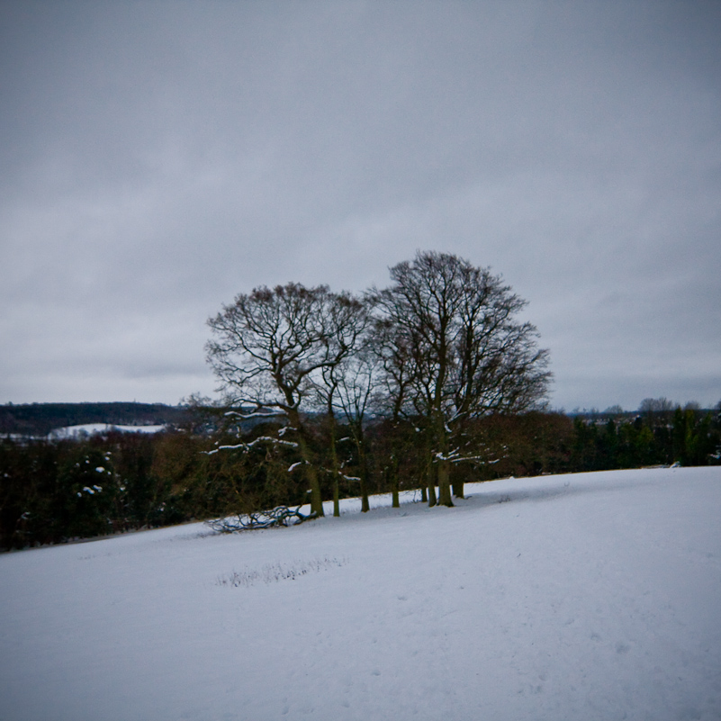 Henley-on-Thames - 10 January 2010