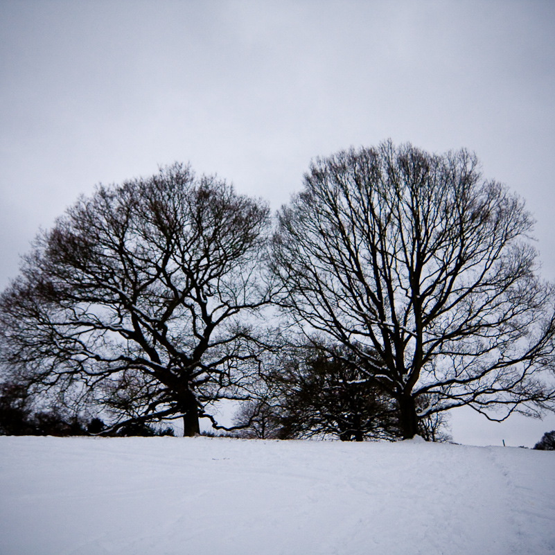 Henley-on-Thames - 10 January 2010