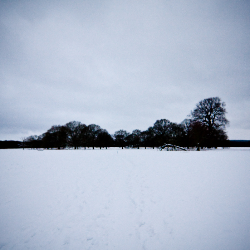 Henley-on-Thames - 10 January 2010