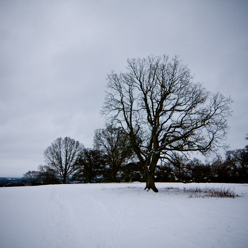 Henley-on-Thames - 10 January 2010