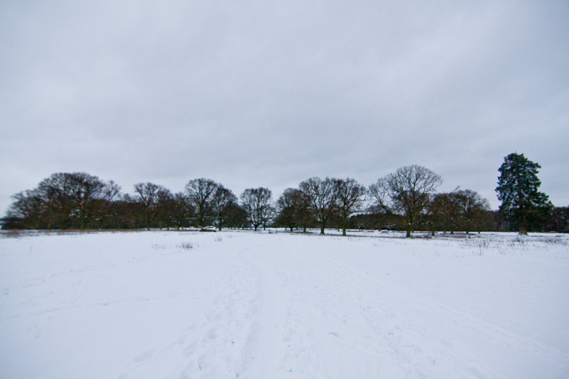 Henley-on-Thames - 10 January 2010