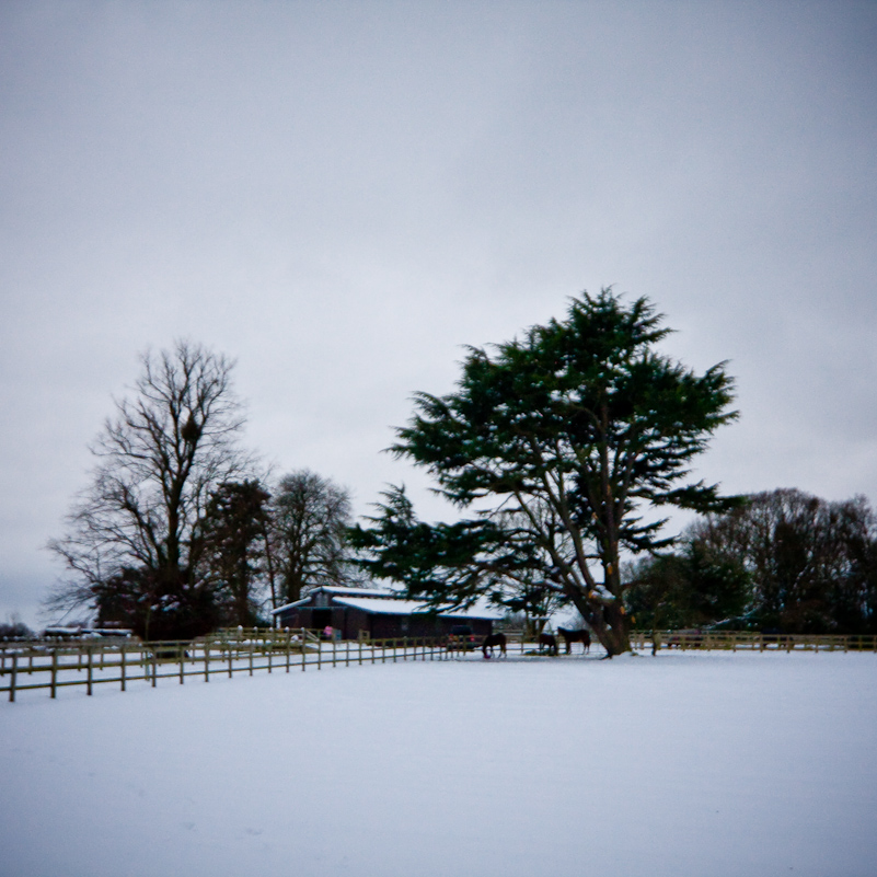 Henley-on-Thames - 10 January 2010
