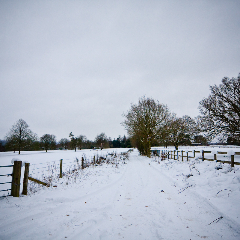 Henley-on-Thames - 10 January 2010