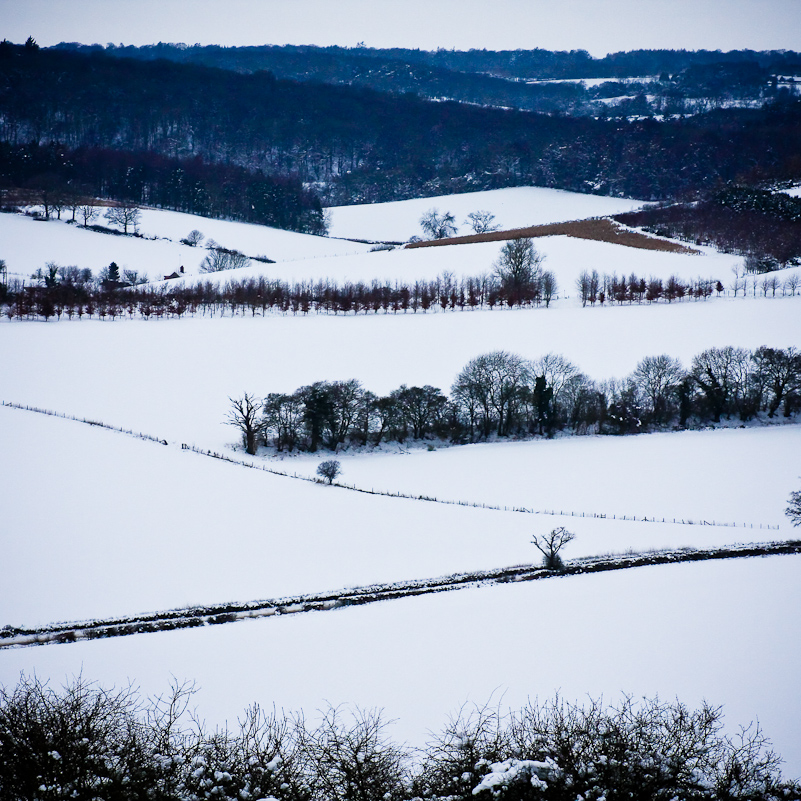 Henley-on-Thames - 10 January 2010