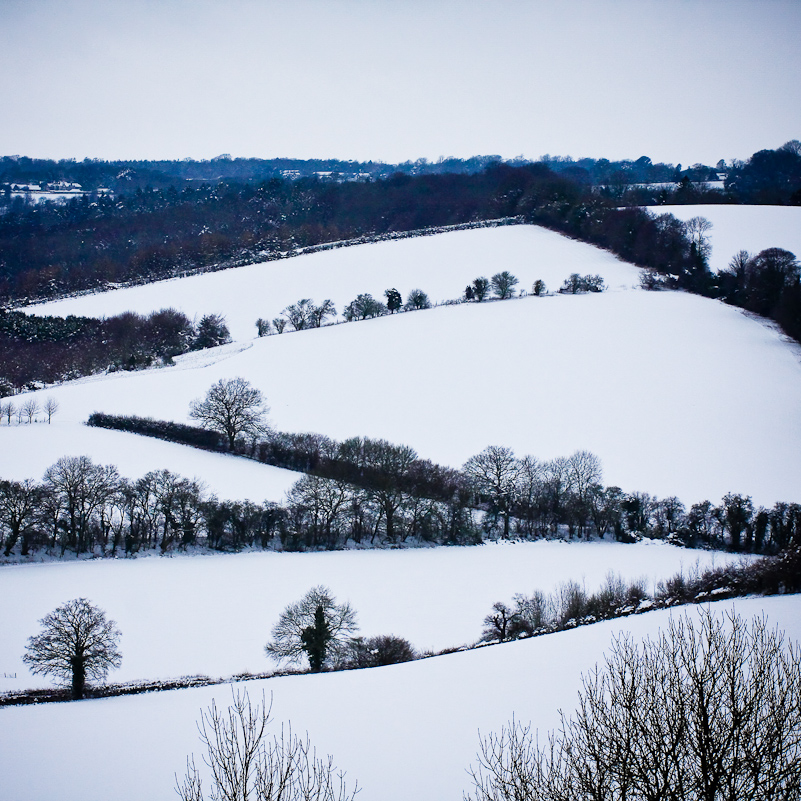 Henley-on-Thames - 10 January 2010