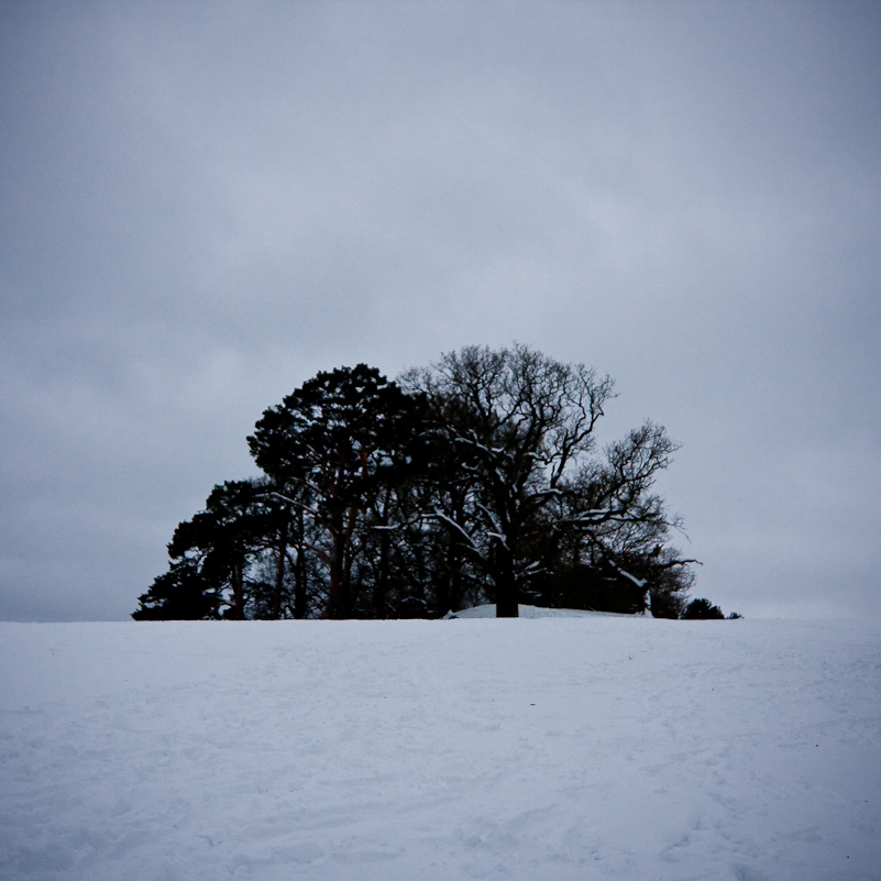 Henley-on-Thames - 10 January 2010