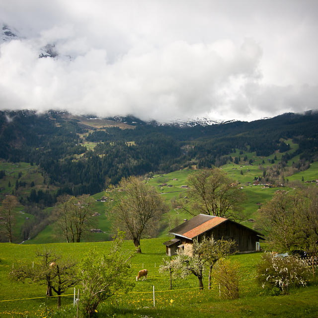 Bernese Oberland - 10 to 14 May 2010