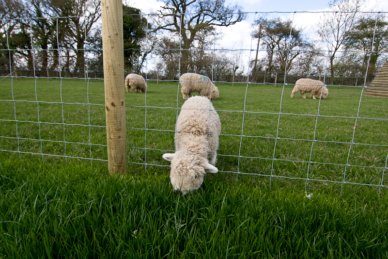 Odds Farm - 11 April 2010