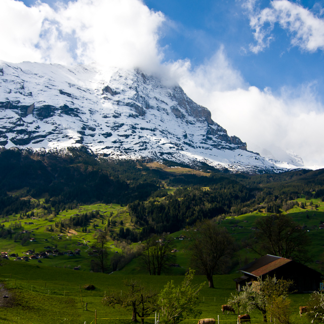 Bernese Oberland - 10 to 14 May 2010