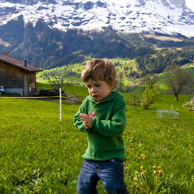 Bernese Oberland - 10 to 14 May 2010