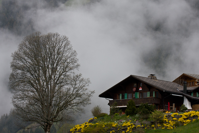 Bernese Oberland - 10 to 14 May 2010