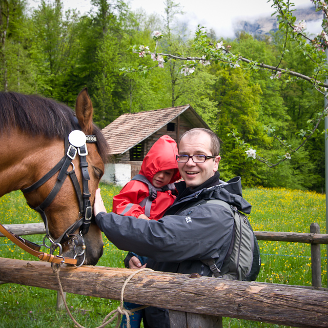 Bernese Oberland - 10 to 14 May 2010