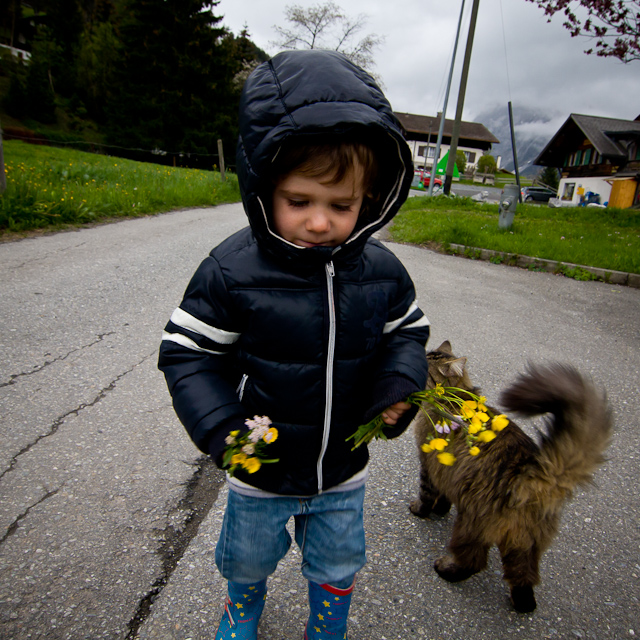 Bernese Oberland - 10 to 14 May 2010