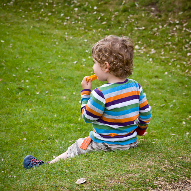 Basildon Park - 19 May 2010