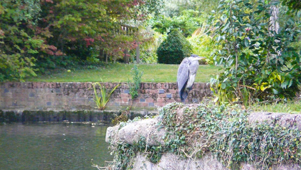 Henley-on-Thames - 20 August 2010